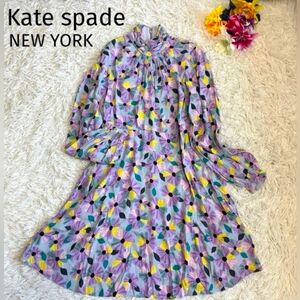 Kate Spade Wallflower Smocked Long Sleeve Dress Size 10